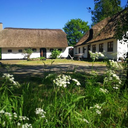 Hostel Gemuetliches Reetdachhaus Mit Kaminofen Ribe Zewnętrze zdjęcie