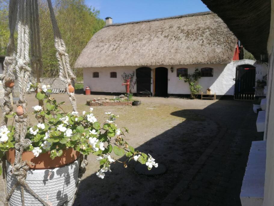 Hostel Gemuetliches Reetdachhaus Mit Kaminofen Ribe Zewnętrze zdjęcie